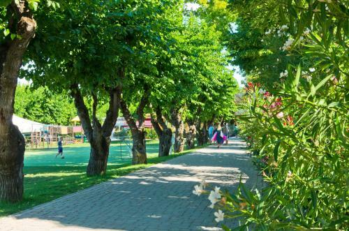 Camping Village Du Parc