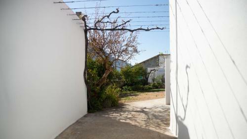 Apartamento Welcomely - San Pietro 9