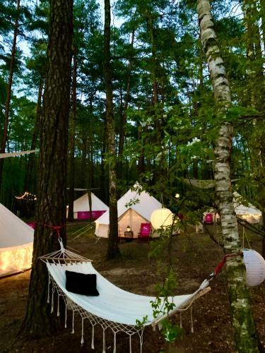 Caravana Juliana - Glamping