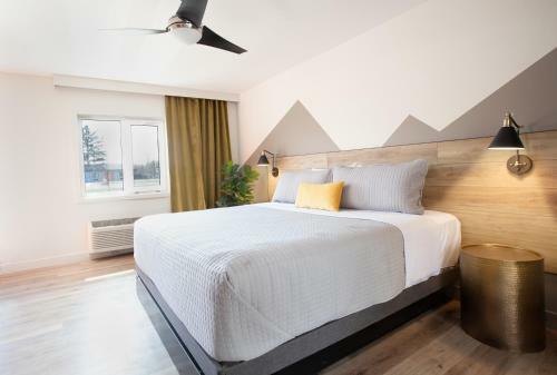 Hotel 4411 Inn & Suites
