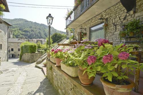 Hostal Locanda Senio