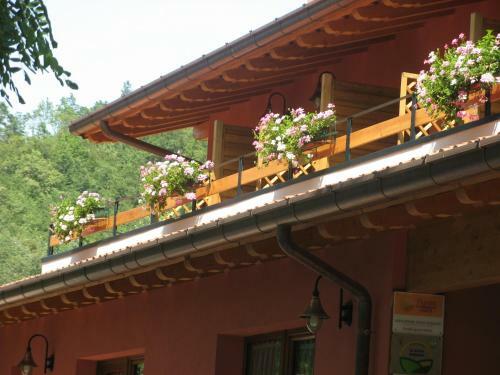 Agroturismo Bosco Romagno