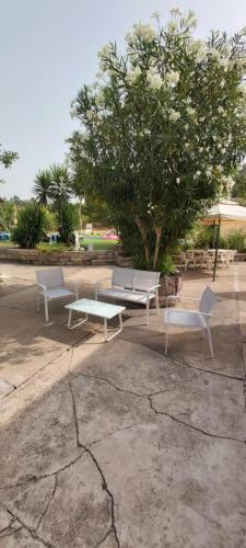 Bed & Breakfast Il Rosmarino