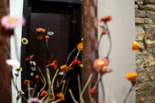B&B Muro Torto Lucera