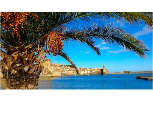 Apartamento R�sidence Du Soleil