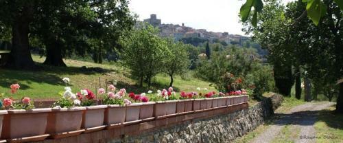 Agroturismo Agriturismo Podere 3 Querce