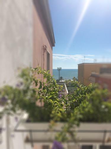 B&B Acqua Di Sale