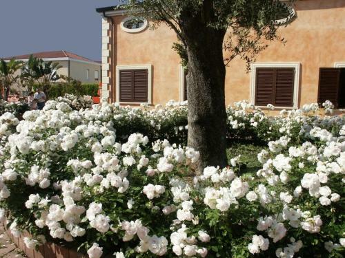 Aparthotel Residence Baia Infreschi
