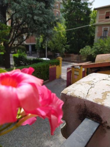 Bb La Bella Addormentata E Il Principe Calaf