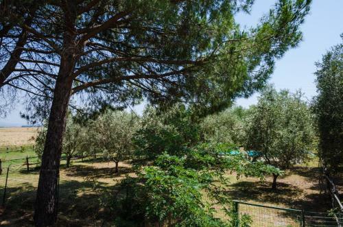 Agroturismo Podere Corte Alle Rose