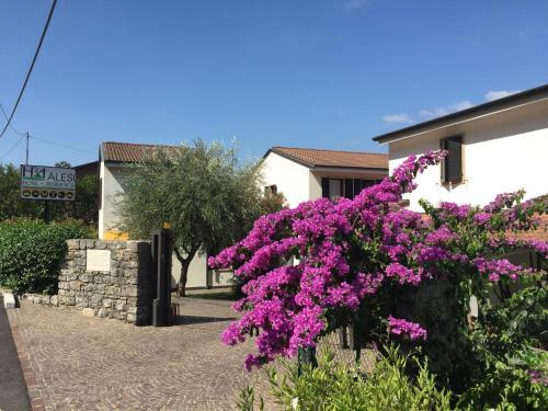 Aparthotel Hotel Residence Alesi