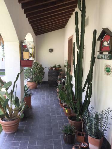 Aparthotel Hotel Residence Alesi