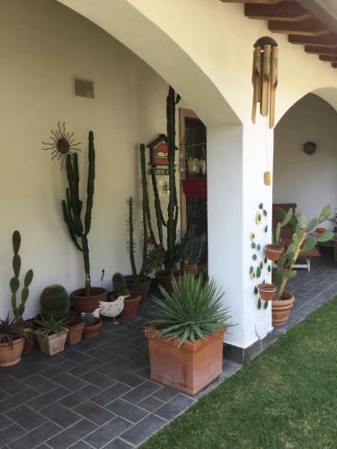 Aparthotel Hotel Residence Alesi