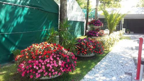 Camping Calatella Parco Di Vacanza