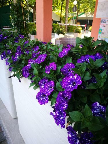 Camping Calatella Parco Di Vacanza