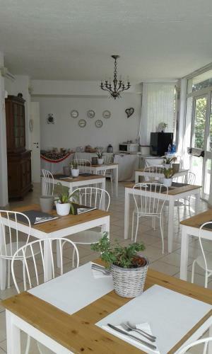 Casa Versilia Hotel