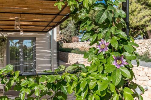 Agroturismo Mangiabove