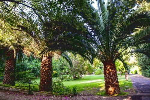 Apartamento Etna Botanic Garden