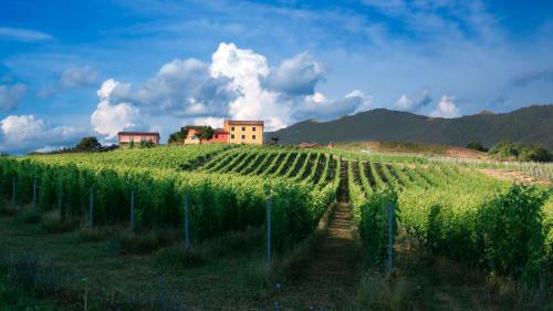 Hotel Tenuta Grimaldi Wine Resort