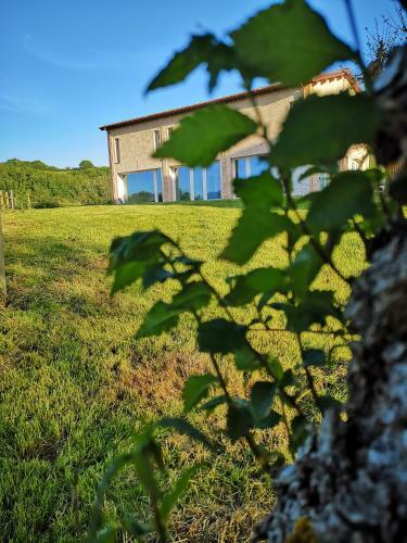 Hotel Tenuta Grimaldi Wine Resort