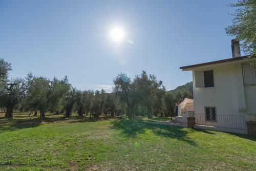 Villa Degli Ulivi