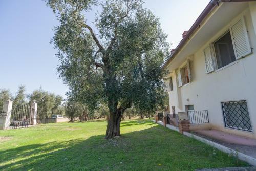 Villa Degli Ulivi