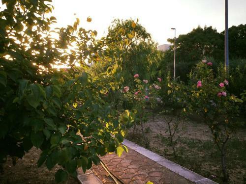 Bed & Breakfast Buon Vento