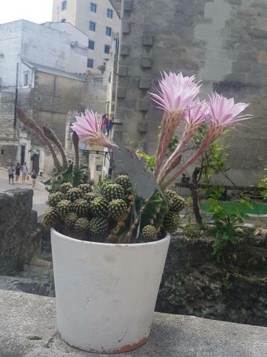 La Bomboniera Holiday Home