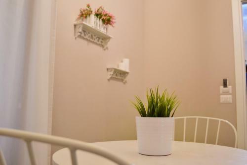 Bed & Breakfast Myricae