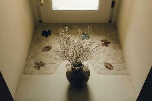 Bed & Breakfast Casastella