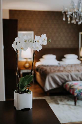 Hotel Willa Sepia Spa