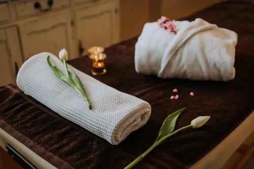 Hotel Willa Sepia Spa