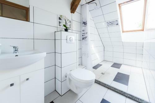 Fitness Hostel Premium