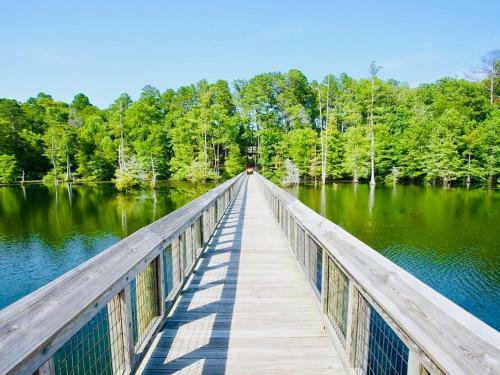 Tentrr State Park Site - Lake D'arbonne State Park Site B