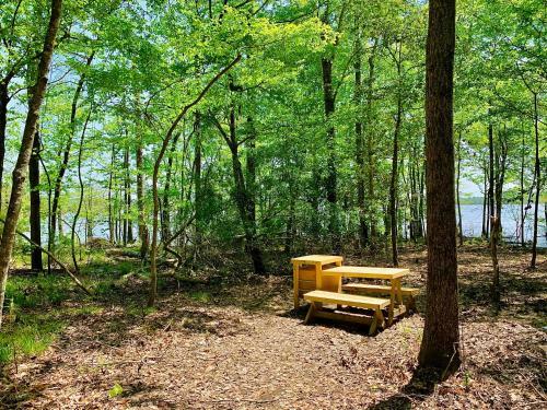 Tentrr State Park Site - Lake D'arbonne State Park Site B