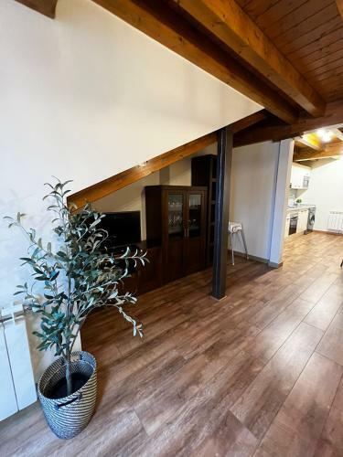 Apartamentos Los Molinos