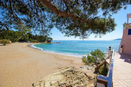 Apartamento El Port Llan�a - Barneda Premium