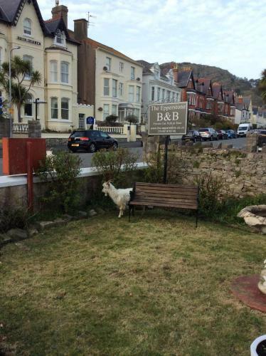 Bed & Breakfast The Epperstone