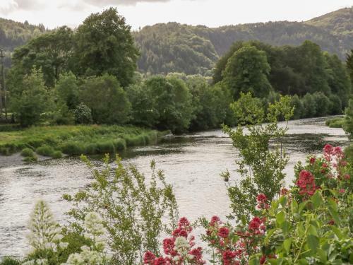 Apartamentos The Bar Suite