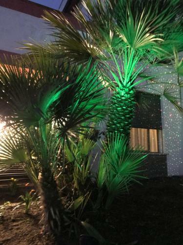 Bed & Breakfast San Rocco