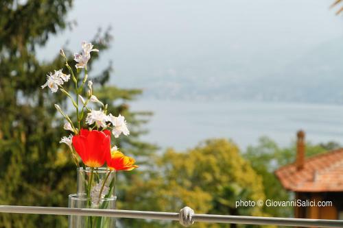 Albergue Lake Como Peace Lodge - Casa Della Pace