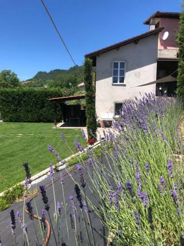 Apartamento Maison Bric