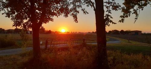 Bed & Breakfast Santa Maria Di Lorgana