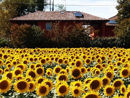 Bed & Breakfast Santa Maria Di Lorgana