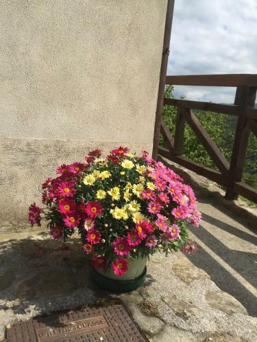 Bed & Breakfast Residenza Cima Le Vigne