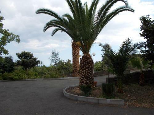 Hostal Il Nido Delle Aquile Dell'etna