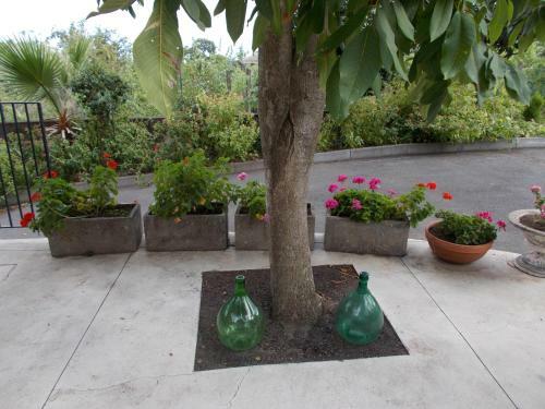 Hostal Il Nido Delle Aquile Dell'etna