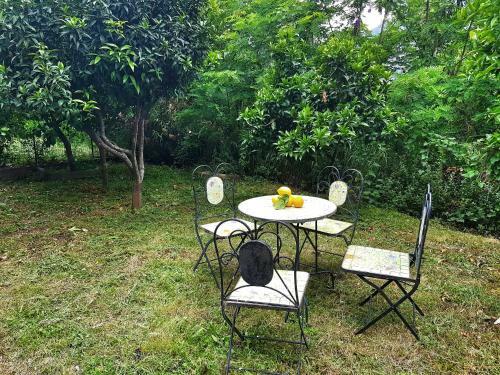 Bed & Breakfast Villa Cipriano
