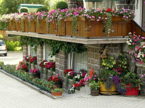 Hotel Albergo Trentino
