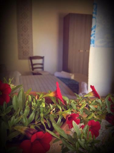 Hostal Affittacamere Munduge